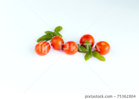Red cherry tomatoes with green basil on a white background Red cherry tomatoes with green basil on a white background 75362804