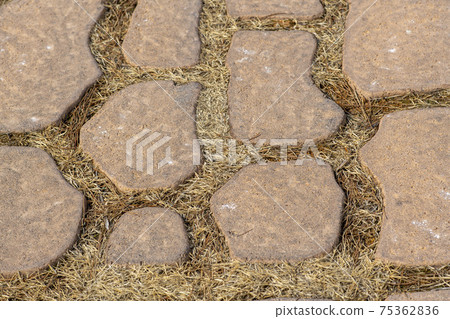 Sea Hyanggi Arboretum Sea Hyanggi Arboretum 75362836