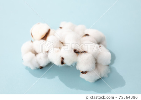 Cotton cotton ball sustainable Cotton cotton ball sustainable 75364386