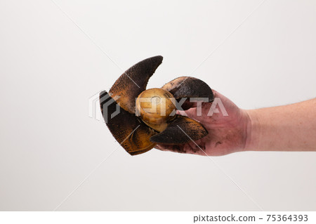 Ventilation fan wings dirty 75364393