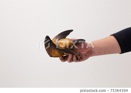 通風風扇的機翼髒了 75364394