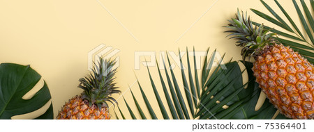 鳳梨 熱帶 葉子 蓬萊蕉 背景 龜背葉 pineapple background パイナップル 75364401