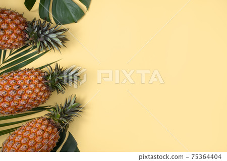 鳳梨 熱帶 葉子 蓬萊蕉 背景 龜背葉 pineapple background パイナップル 75364404