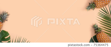 鳳梨 熱帶 葉子 蓬萊蕉 背景 龜背葉 pineapple background パイナップル 75364475