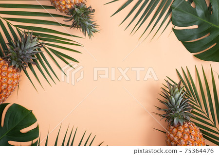 鳳梨 熱帶 葉子 蓬萊蕉 背景 龜背葉 pineapple background パイナップル 75364476