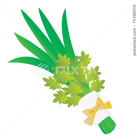 Illustration of irises and mugwort on Children's Day 75366054