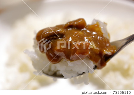 Retort curry 75366110