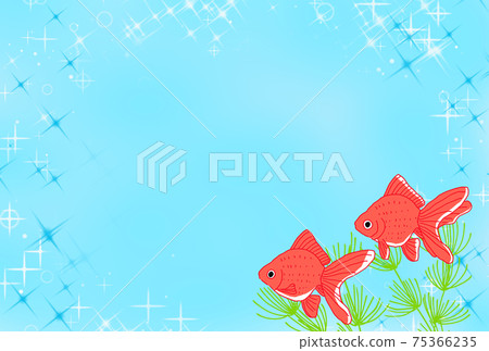 Illustration of summer image of goldfish swimming Illustration of summer image of goldfish swimming 75366235