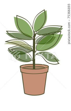 葉子植物的例證 葉子植物的例證 75366893