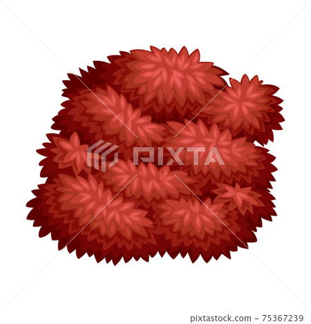 Lush Underwood or Bush as Perennial Woody Plant with Dense Foliage Cover Vector Illustration Lush Underwood or Bush as Perennial Woody Plant with Dense Foliage Cover Vector Illustration 75367239