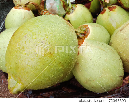green coconut stock on shop for sell green coconut stock on shop for sell 75368893