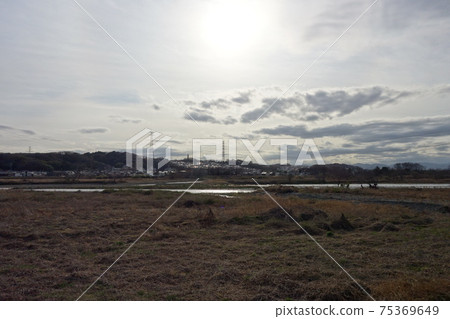 多摩川 多摩川 75369649