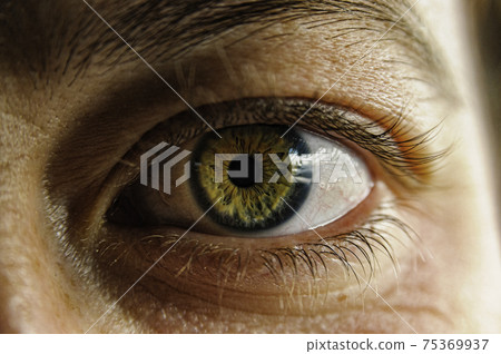 Staring Eyes, the door to the soul 75369937