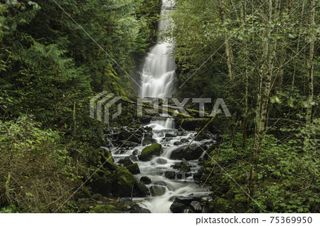 Waterfall in lush forest. British Columbia. Waterfall in lush forest. British Columbia. 75369950