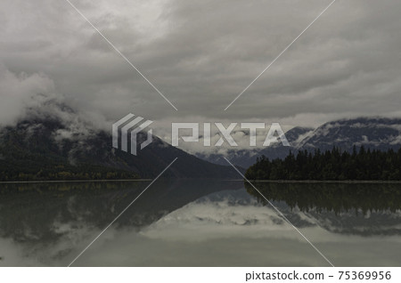 Foggy day over lake and forest 75369956