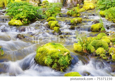 The spring of Fukidashi Park in Kyogoku Town, Hokkaido 75371150