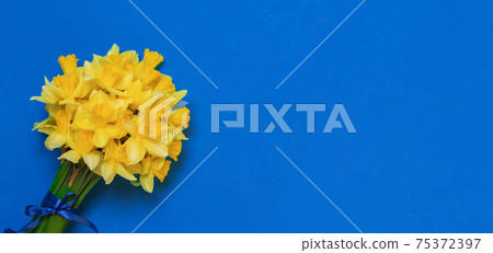 Bouquet of fresh yellow daffodils, blank holiday card with flowers. flat lay Bouquet of fresh yellow daffodils, blank holiday card with flowers. flat lay 75372397