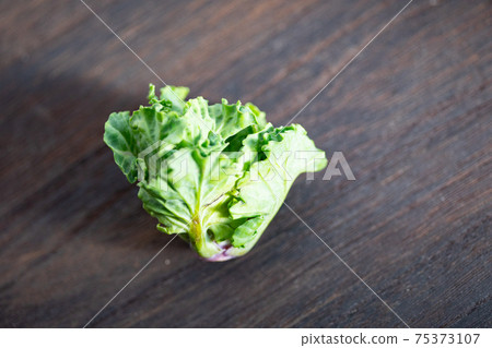 Petit veil (from Shizuoka) 75373107