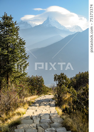 The way to Poon Hill 75373374