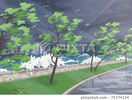Landscape with stormy wind on the coast Landscape with stormy wind on the coast 75374134