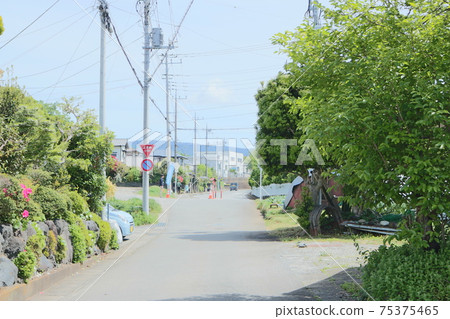 Under the clear spring sky Hometown Shizuoka path Under the clear spring sky Hometown Shizuoka path 75375465