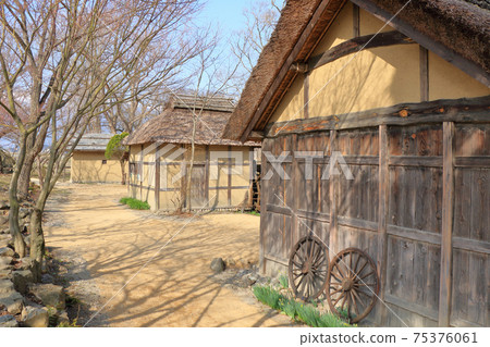 Azumino riverside watermill in early spring Azumino riverside watermill in early spring 75376061