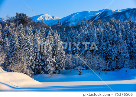 Winter morning mountain Winter morning mountain 75376506