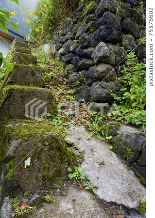 Ishigaki stone steps moss fern Karuizawa Nagano Saku Ishigaki stone steps moss fern Karuizawa Nagano Saku 75376602