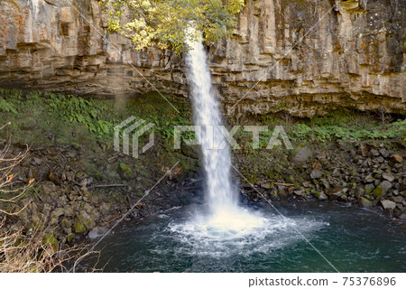 伊豆著名的瀑布,在那裡您可以看到柱狀關節 伊豆著名的瀑布,在那裡您可以看到柱狀關節 75376896