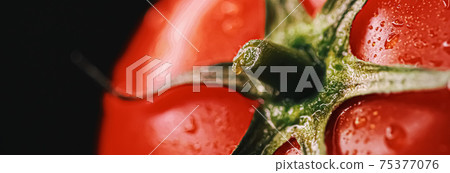 Fresh ripe tomato, organic food 75377076
