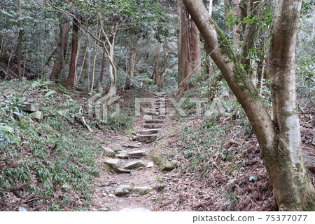 通往薩瓦瑪城堡的山路 通往薩瓦瑪城堡的山路 75377077