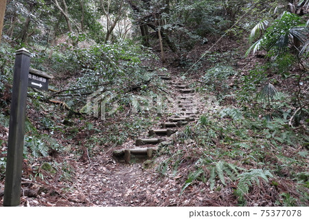 通往薩瓦瑪城堡的山路 75377078