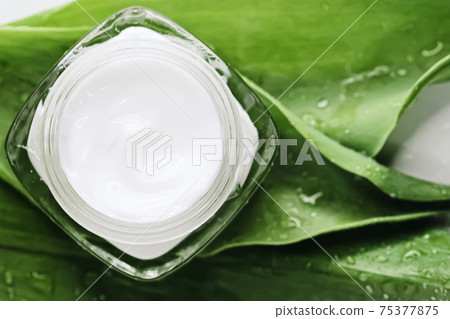 Natural moisturising cream jar on green leaves as beauty flatlay, spa cosmetics and skincare 75377875