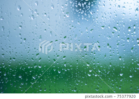 在一個雨天透過窗戶看的模糊的森林綠色 照片素材 圖片 圖庫