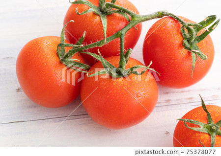 Fresh morning picked, tufted tomatoes Fresh morning picked, tufted tomatoes 75378077