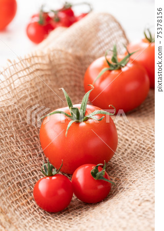 新鮮的早晨採摘，簇絨的西紅柿 75378156