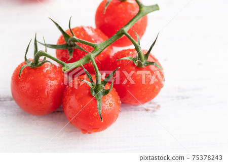 Fresh morning picked, tufted tomatoes 75378243