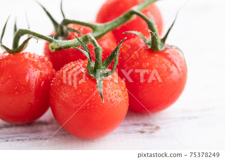 Fresh morning picked, tufted tomatoes Fresh morning picked, tufted tomatoes 75378249