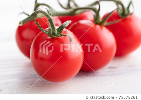 Fresh morning picked, tufted tomatoes 75378261