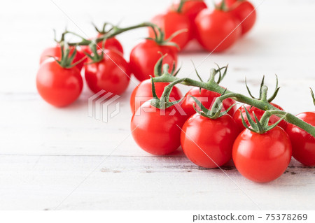 新鮮的早晨採摘，簇絨的西紅柿 75378269