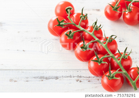 Fresh morning picked, tufted tomatoes Fresh morning picked, tufted tomatoes 75378291