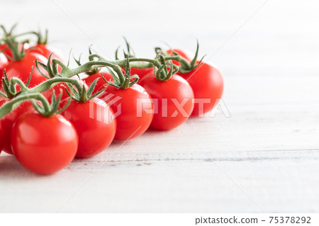 Fresh morning picked, tufted tomatoes Fresh morning picked, tufted tomatoes 75378292