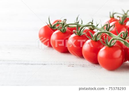 新鮮的早晨採摘，簇絨的西紅柿 75378293