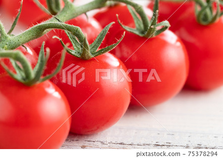 新鮮的早晨採摘，簇絨的西紅柿 75378294
