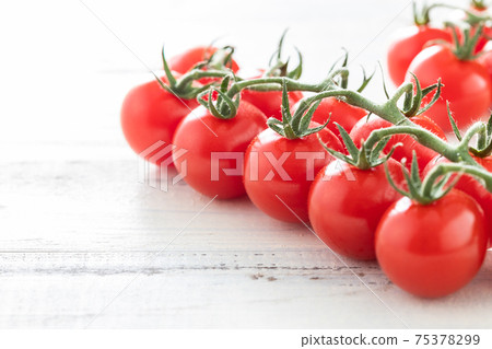 Fresh morning picked, tufted tomatoes 75378299