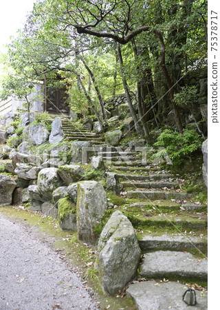 Shogakuin Imperial Palace Miyakono as Ryugaji Temple gate 75378717