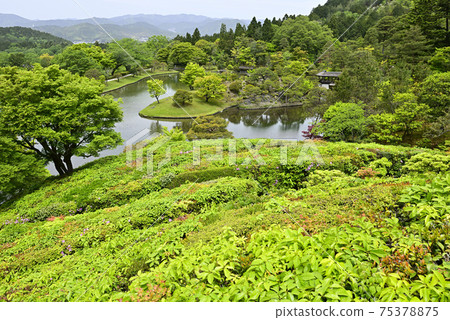 Shogakuin皇宮皇宮龍捲風池塘 Shogakuin皇宮皇宮龍捲風池塘 75378875