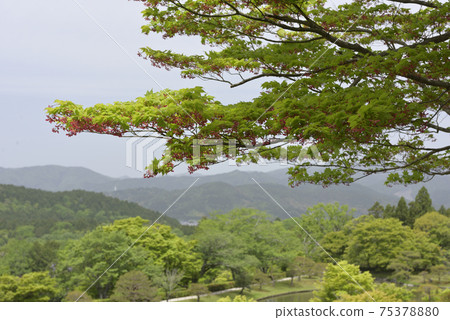 Shogakuin Imperial Palace Imperial Palace Tornado Pond Shogakuin Imperial Palace Imperial Palace Tornado Pond 75378880