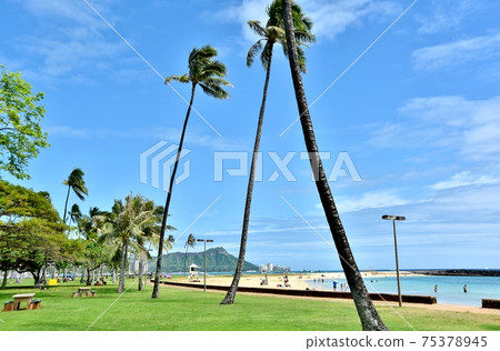 Holidays in Hawaii 75378945