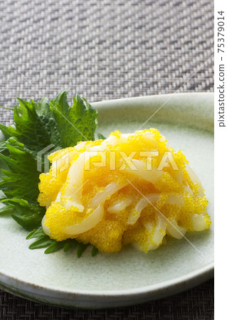 Squid golden 17 Squid golden 17 75379014